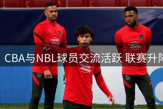 CBA与NBL球员交流活跃 联赛升降级机制催生人才流动